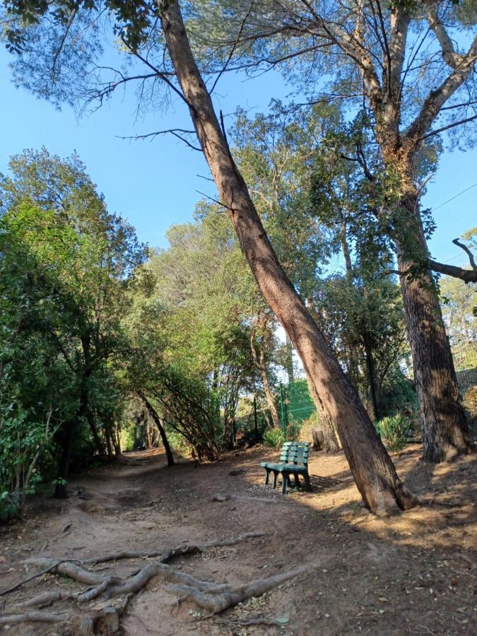 Appart Cosy En Bord De Mer - Port Santia Lucia St Raphael Saint-Raphaël Εξωτερικό φωτογραφία